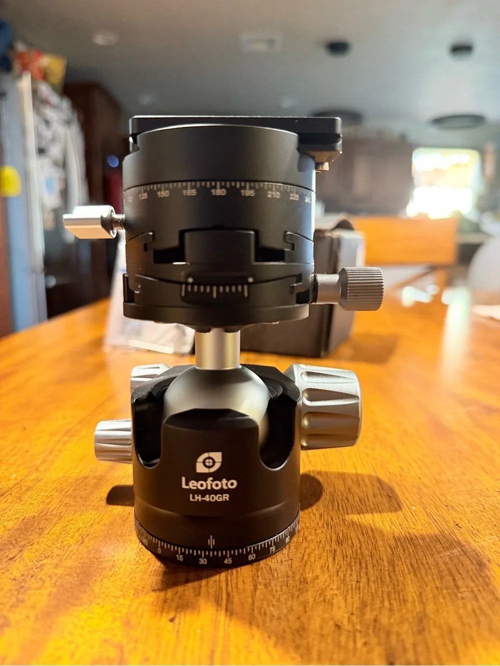 Leofoto LH-40GR Professional Ball Head in Black